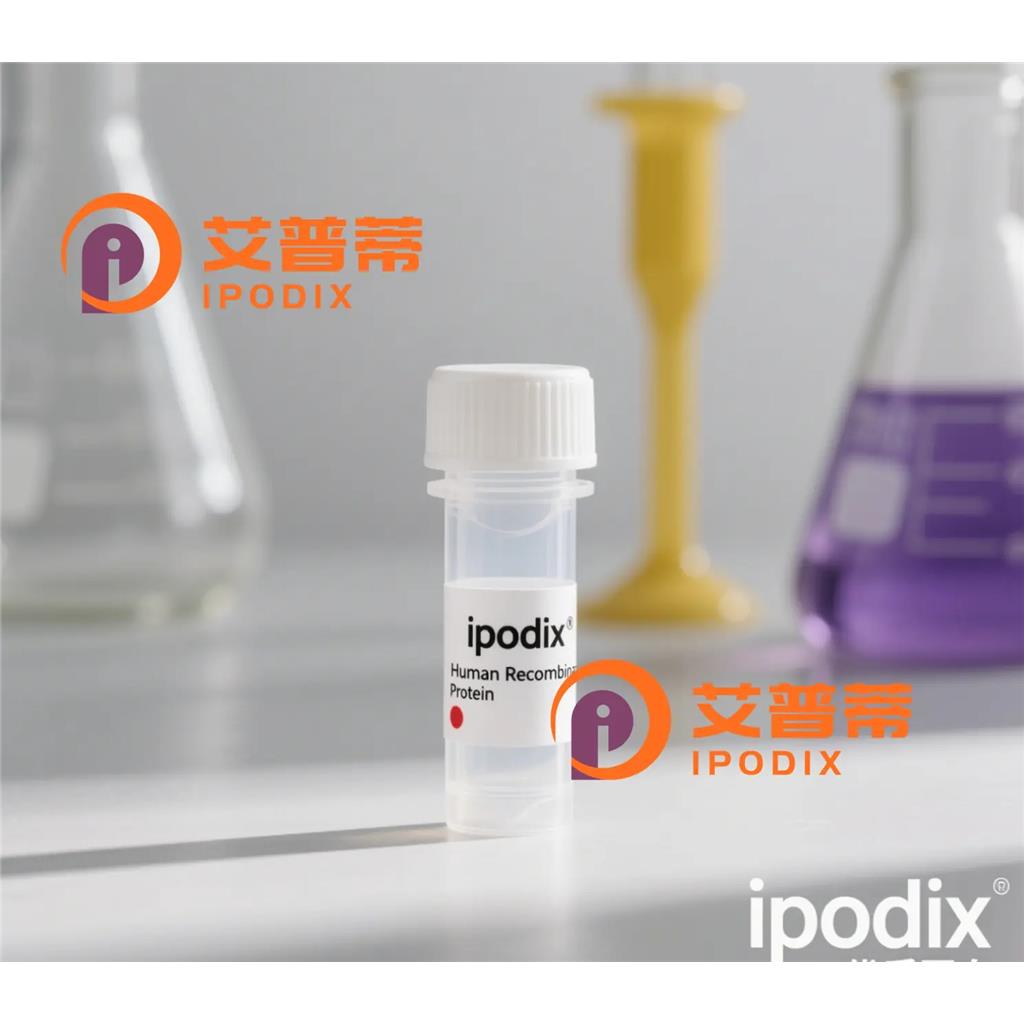 TBX3抗体;TBX3 Antibody—艾普蒂