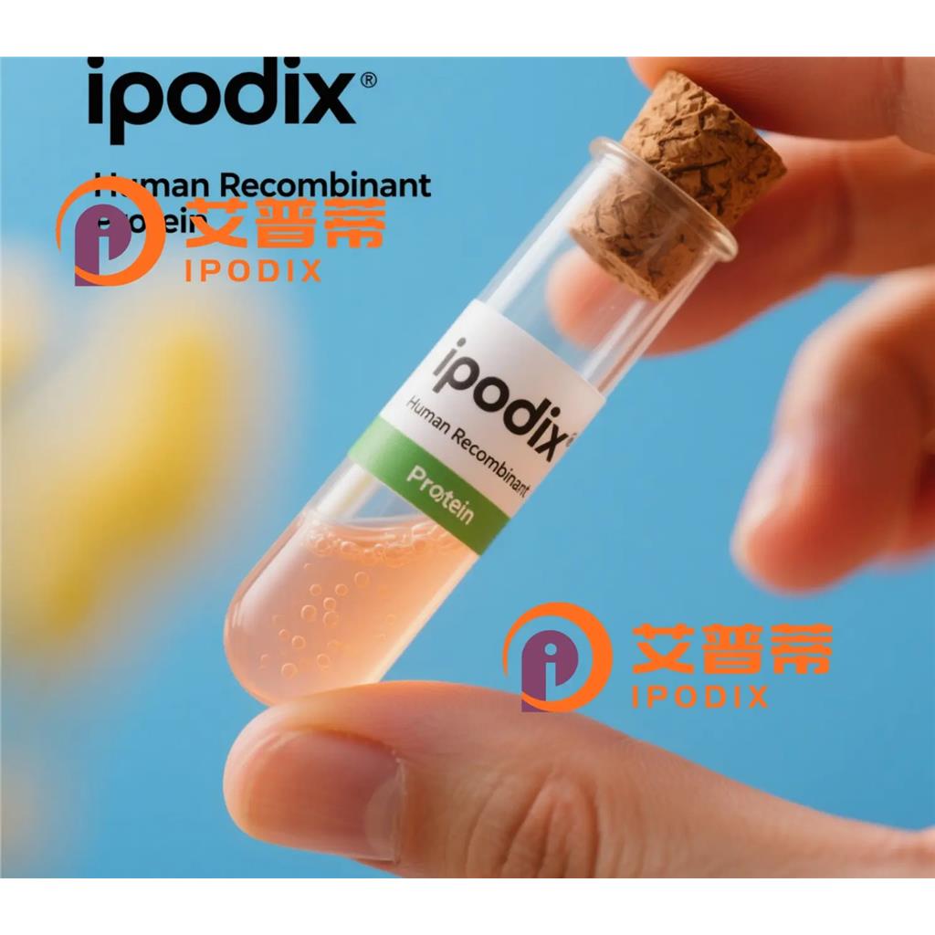 GAL抗体;GAL Antibody—艾普蒂