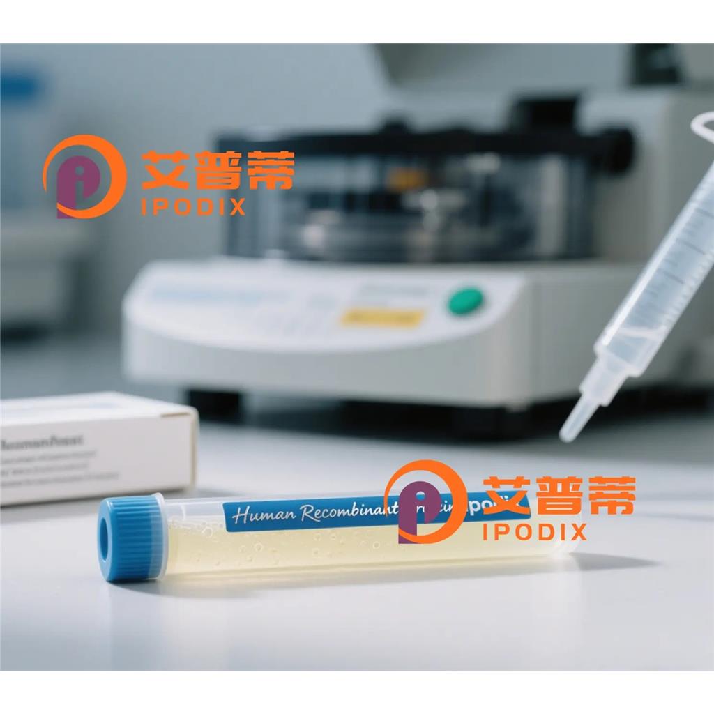 GAS2L3抗体;GAS2L3 Antibody—艾普蒂