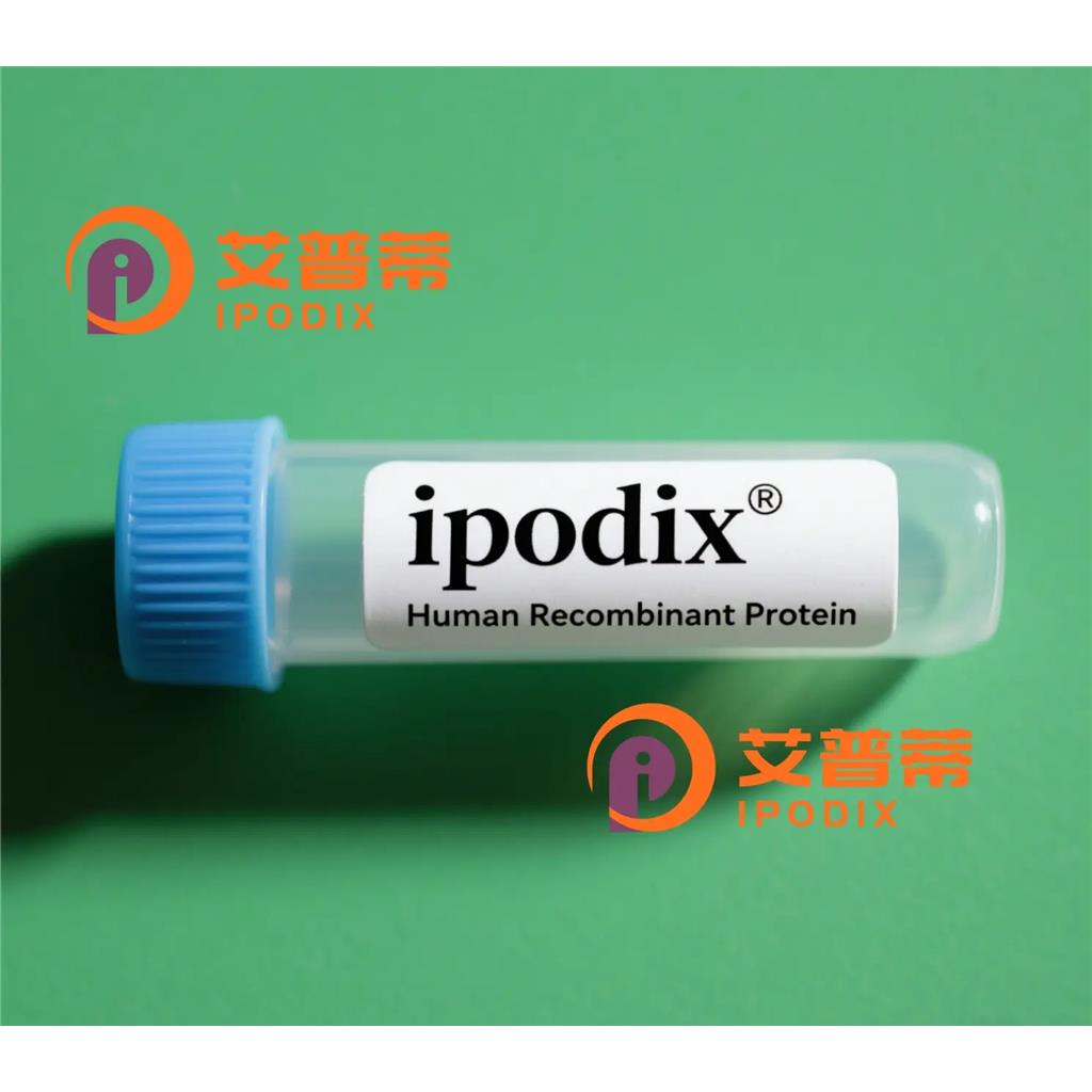 ZBTB11抗体;ZBTB11 Antibody—艾普蒂