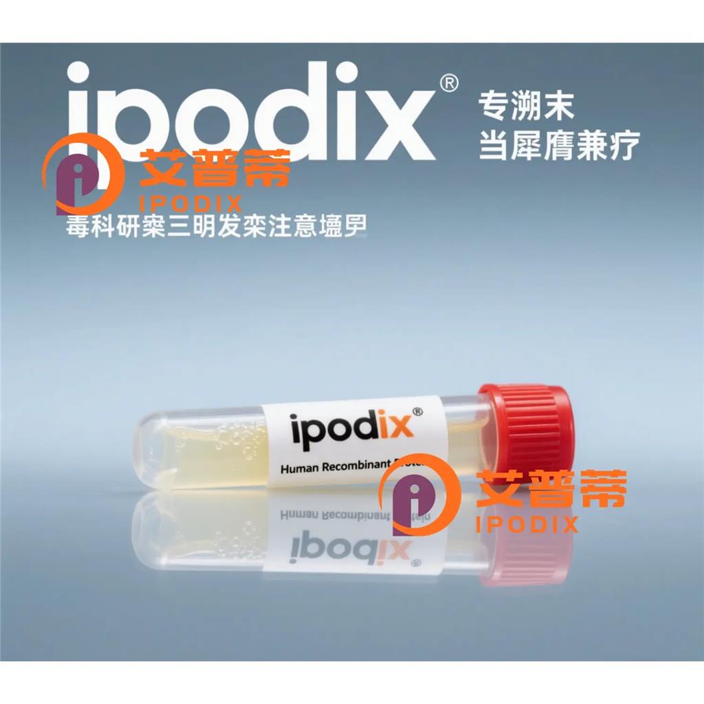 ZIC1抗体;ZIC1 Antibody—艾普蒂