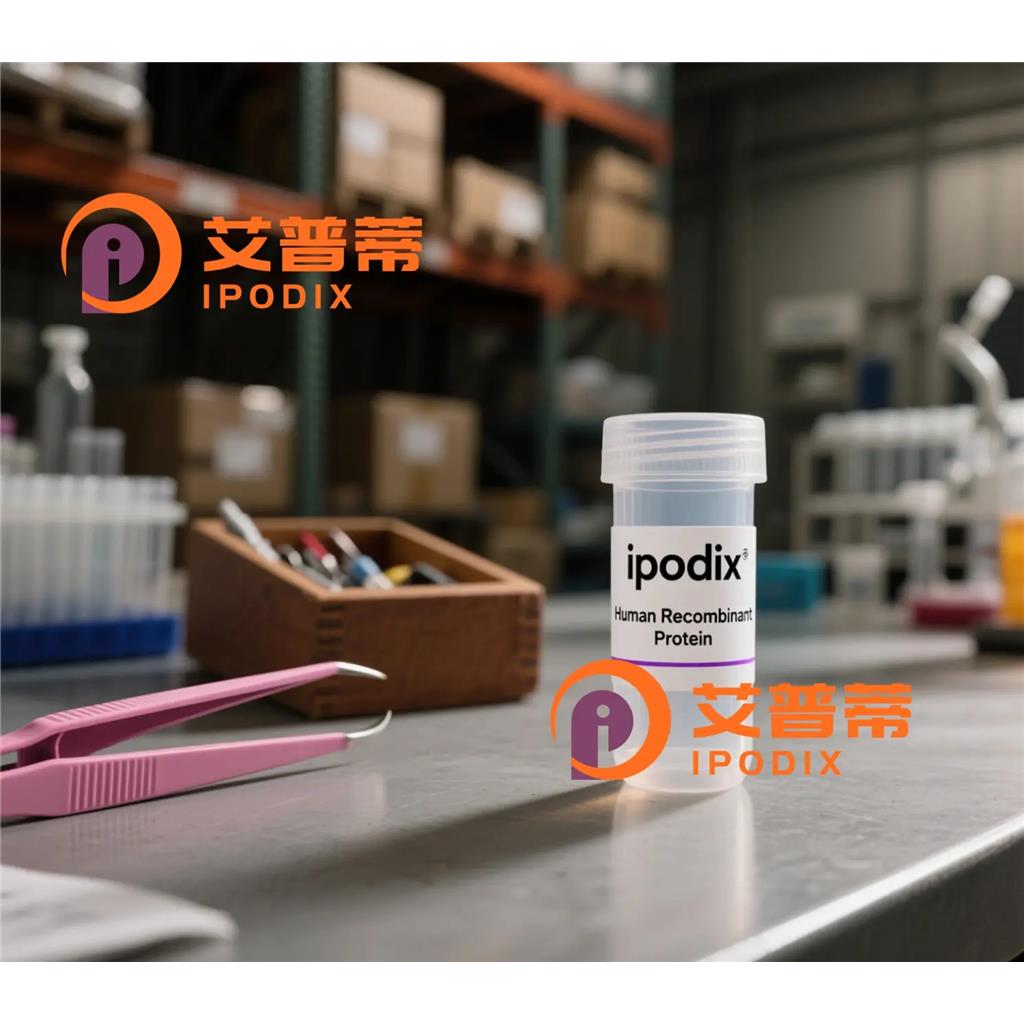 ZIC1抗体;ZIC1 Antibody—艾普蒂