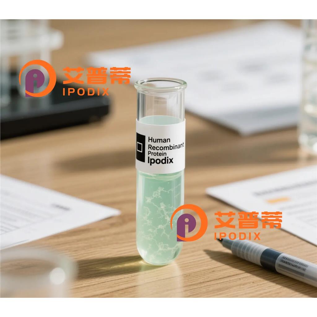 WDSUB1抗体;WDSUB1 Antibody—艾普蒂