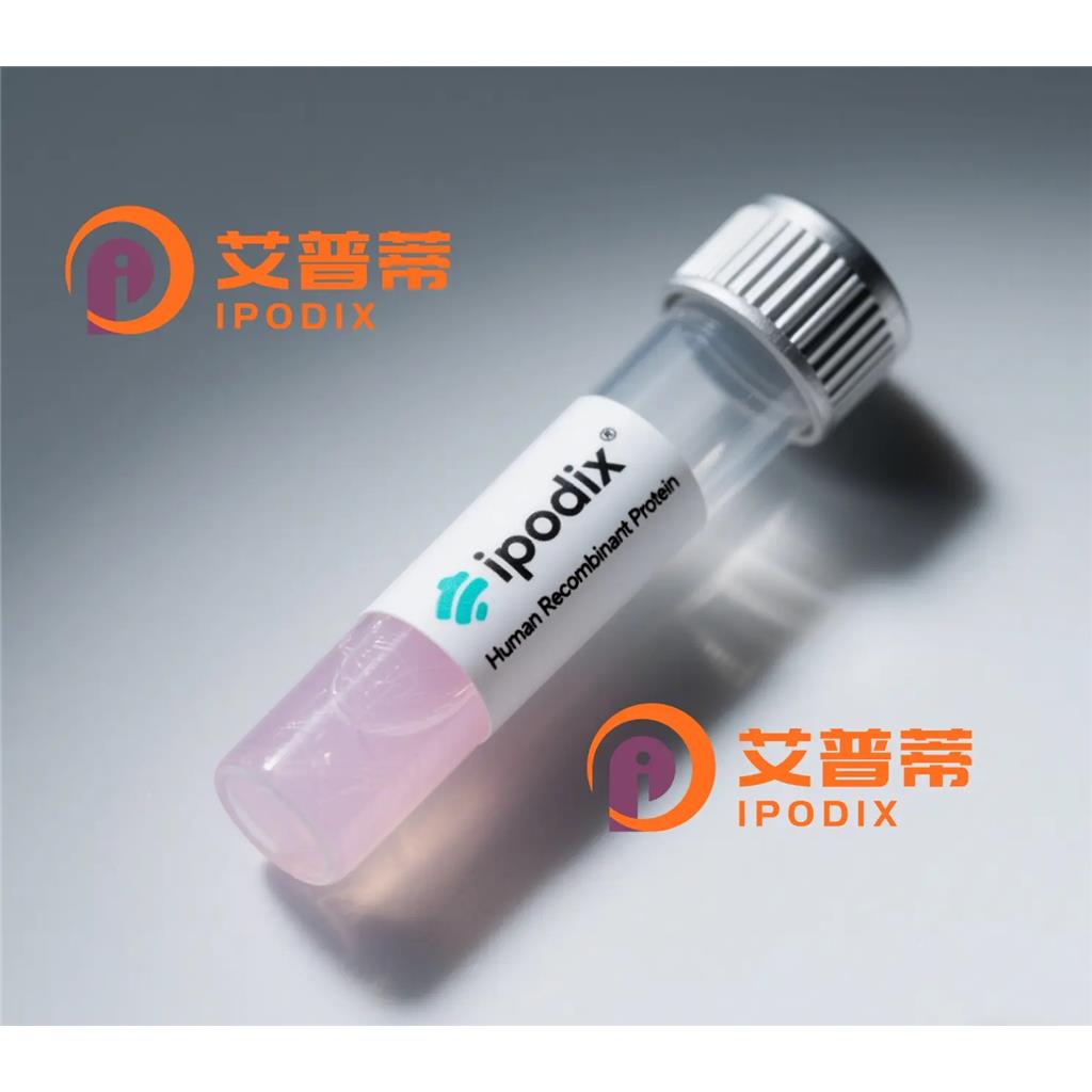 WFDC3抗体;WFDC3 Antibody—艾普蒂