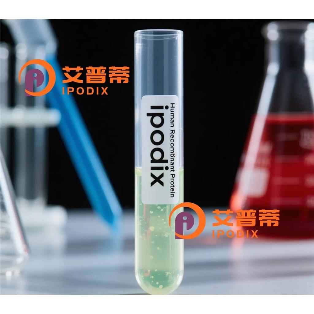 UBR4抗体;UBR4 Antibody—艾普蒂