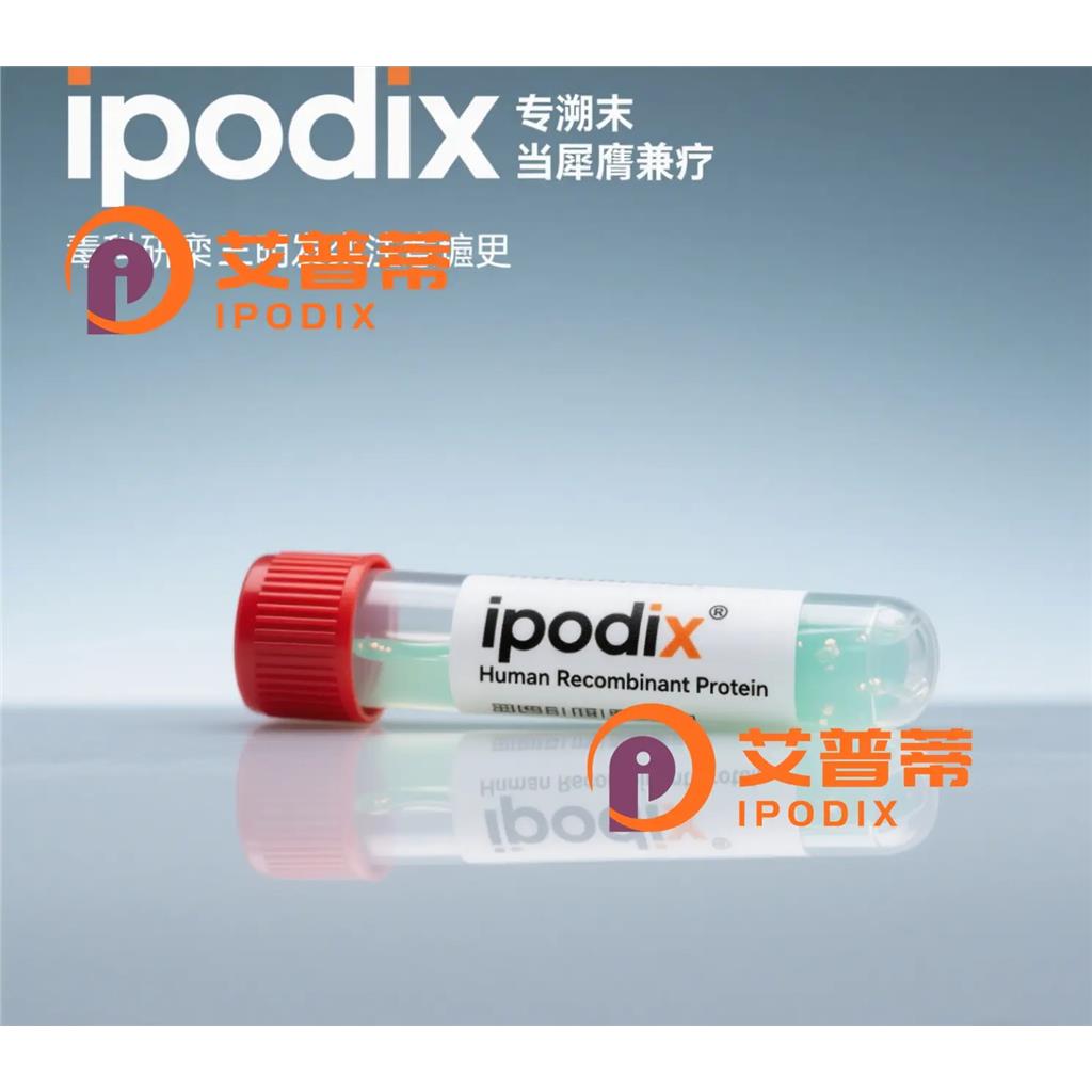 CDK20抗体;CDK20 Antibody—艾普蒂