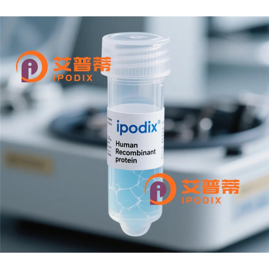 CDC14A抗体;CDC14A Antibody—艾普蒂