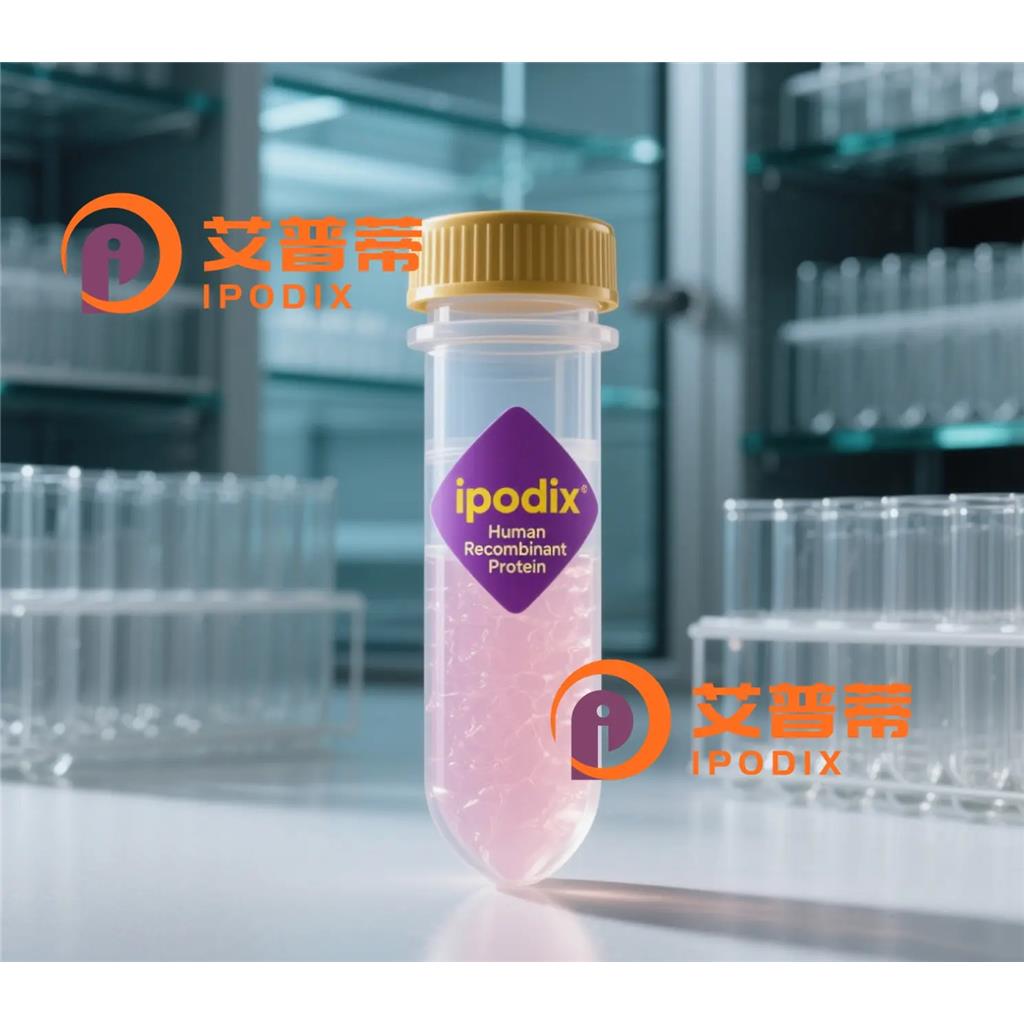 CDKL4抗体;CDKL4 Antibody—艾普蒂