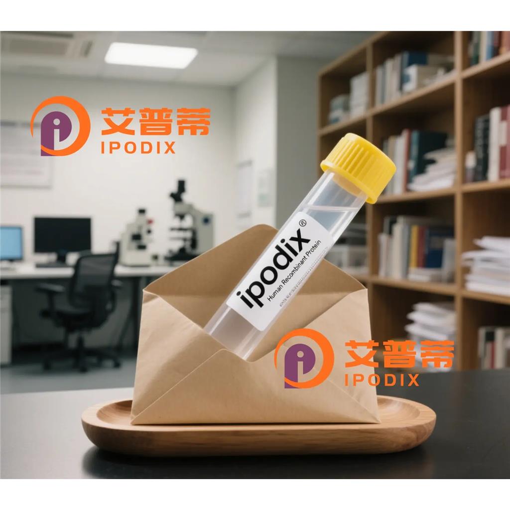 CDKL4抗体;CDKL4 Antibody—艾普蒂