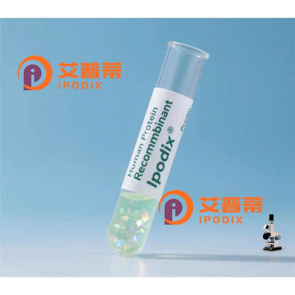 AGAP3抗体;AGAP3 Antibody—艾普蒂