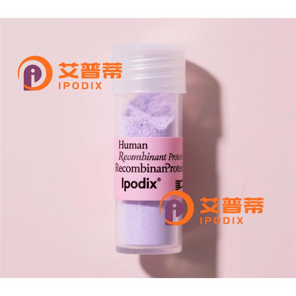 CES2抗体;CES2 Antibody—艾普蒂