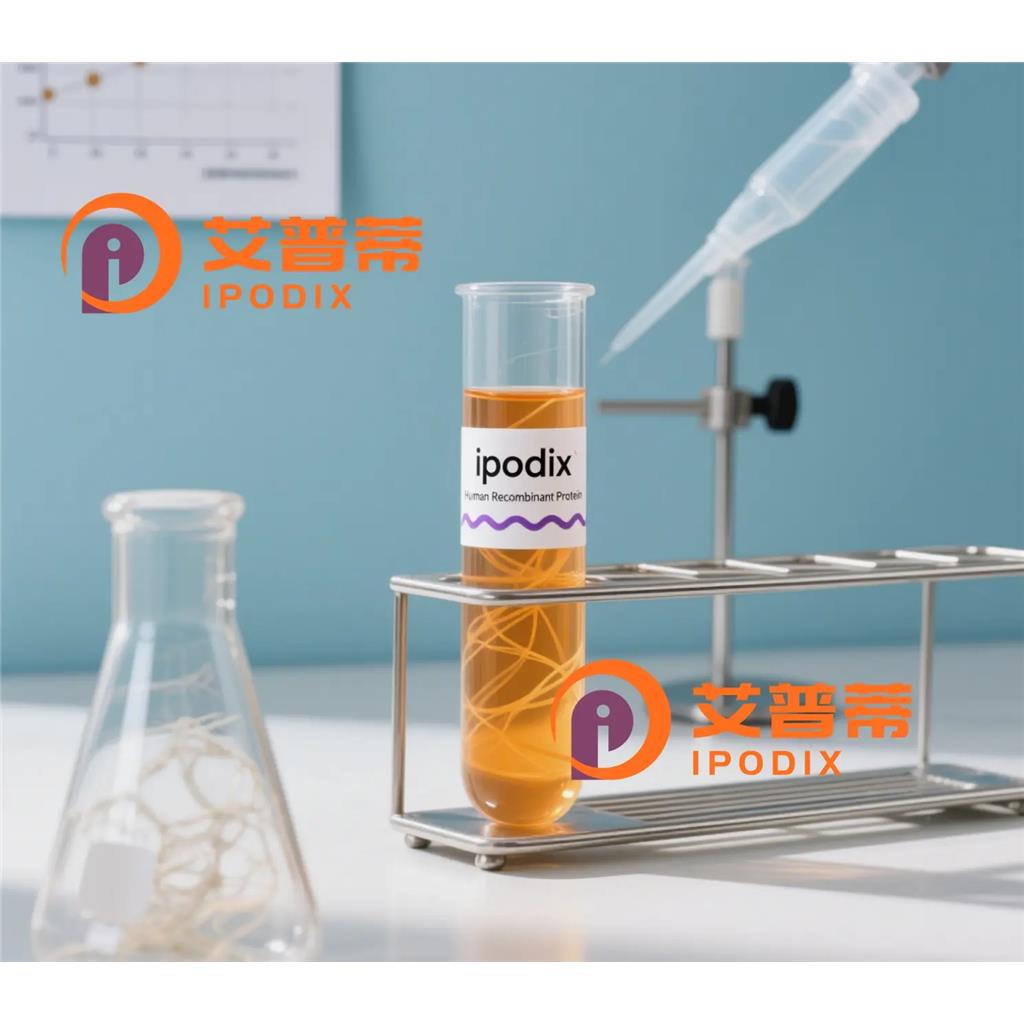 OTUD7B抗体;OTUD7B Antibody—艾普蒂