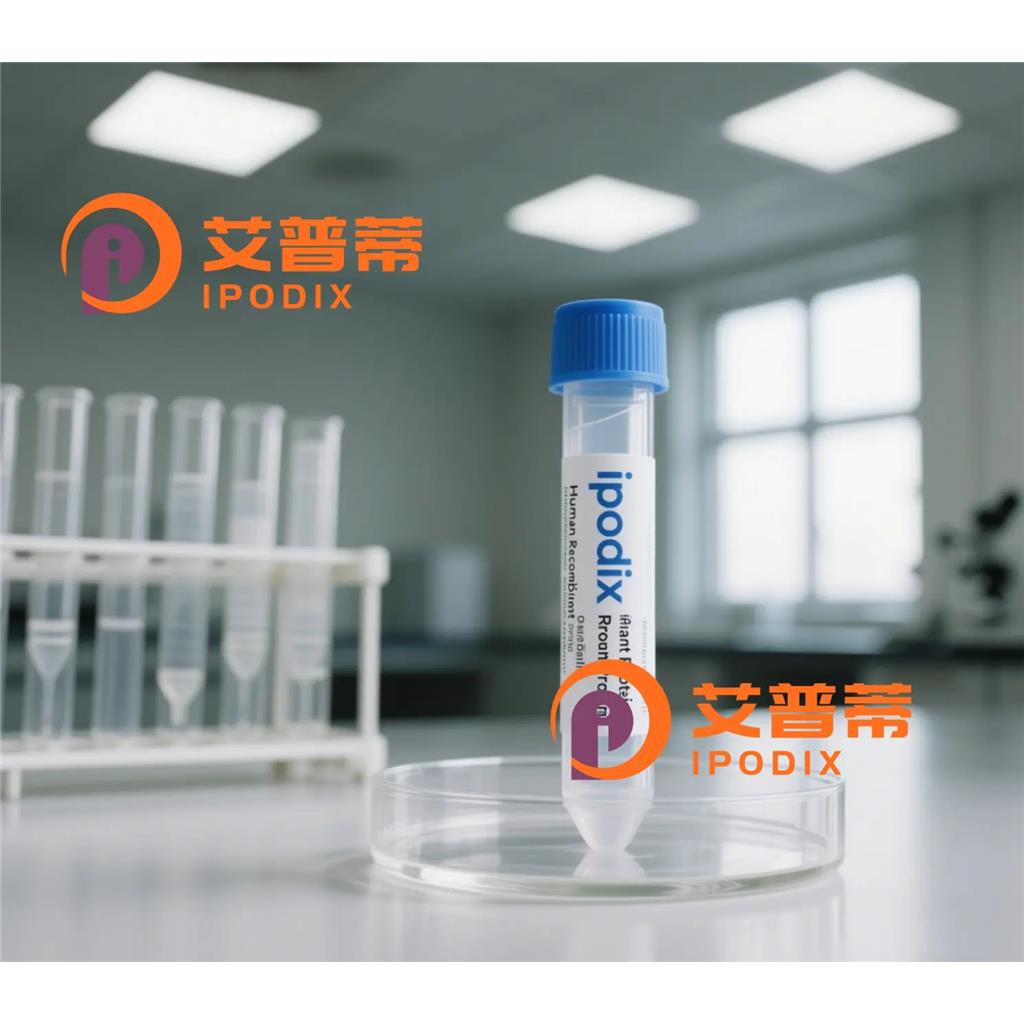 CHM抗体;CHM Antibody—艾普蒂