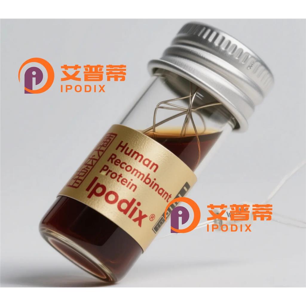 CHM抗体;CHM Antibody—艾普蒂