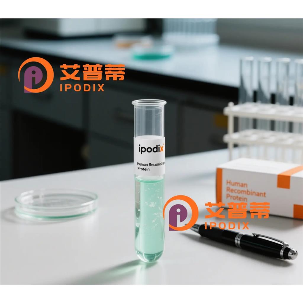 SARNP抗体;SARNP Antibody—艾普蒂