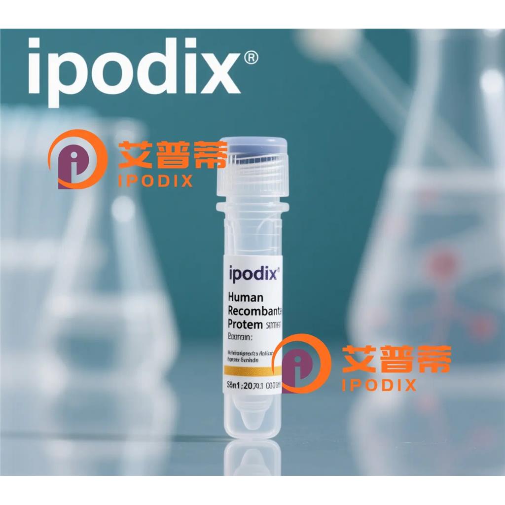 CLSTN1抗体;CLSTN1 Antibody—艾普蒂