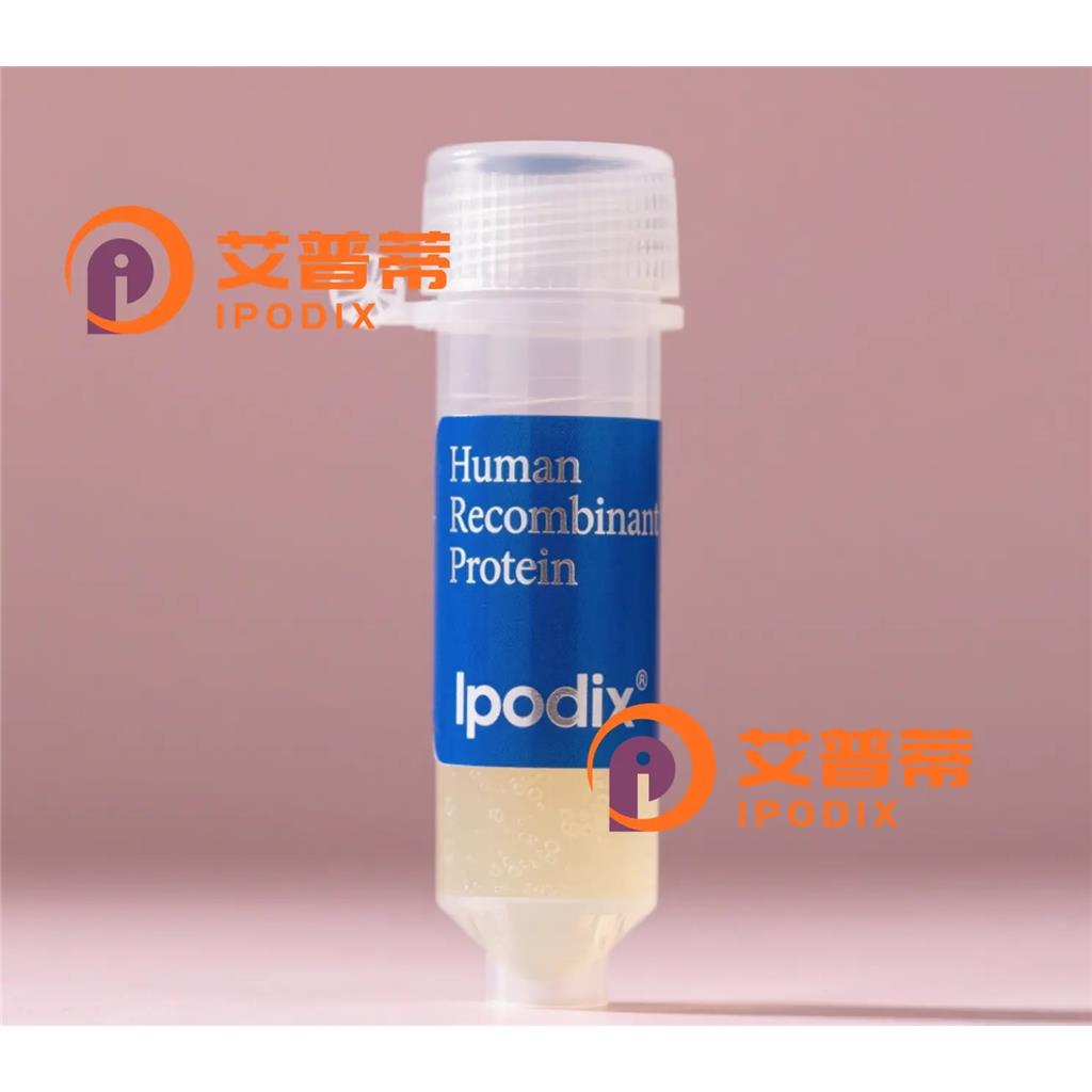 COL5A2抗体;COL5A2 Antibody—艾普蒂