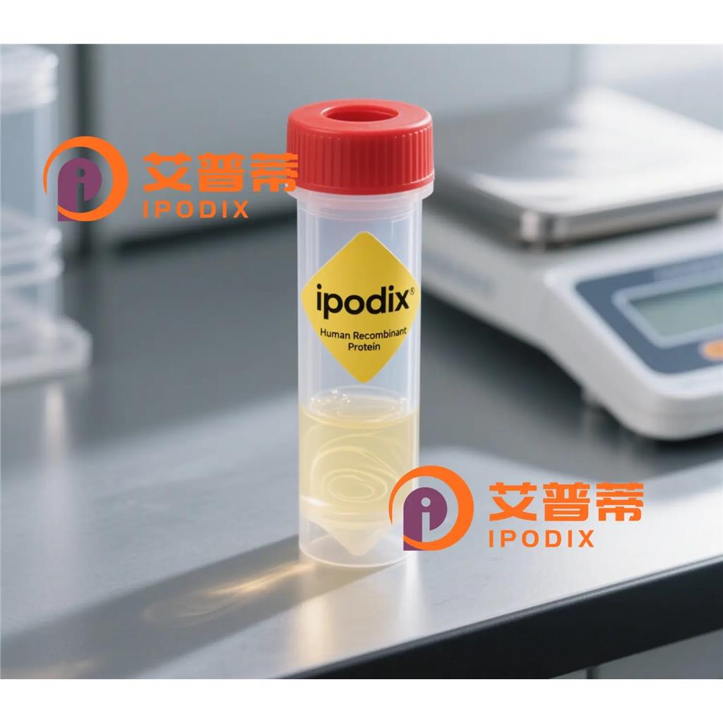 CDH23抗体;CDH23 Antibody—艾普蒂