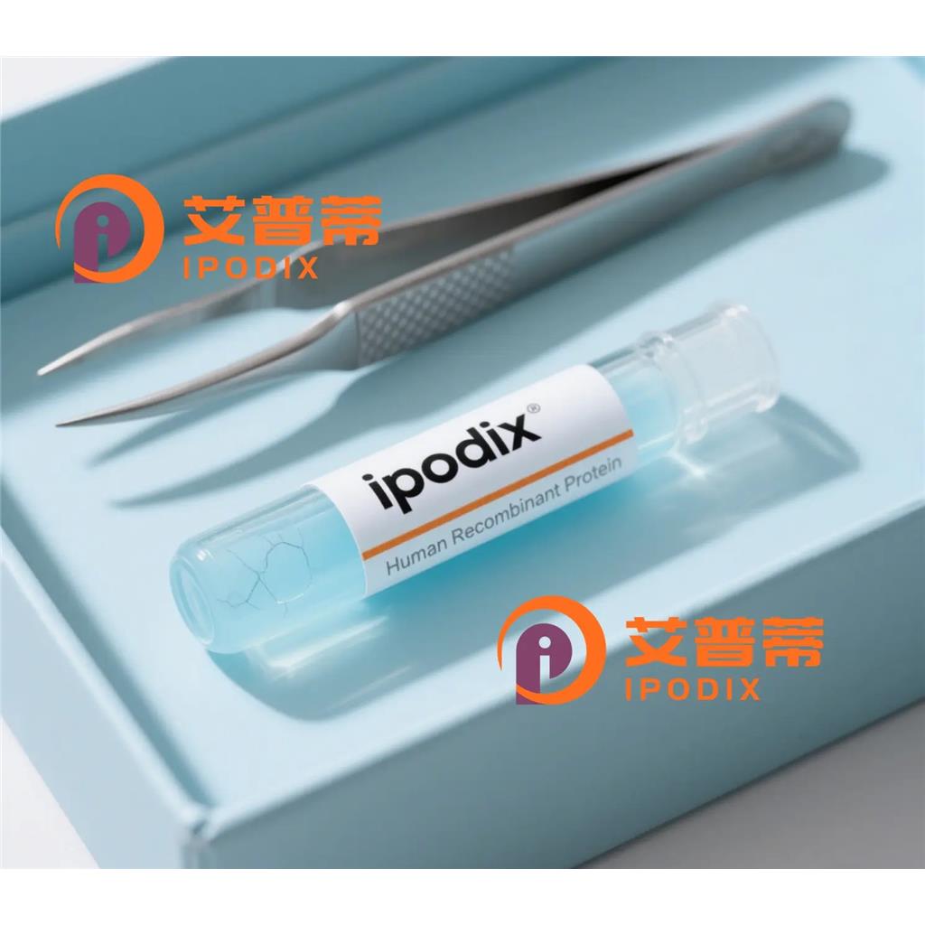 AIFM2抗体;AIFM2 Antibody—艾普蒂