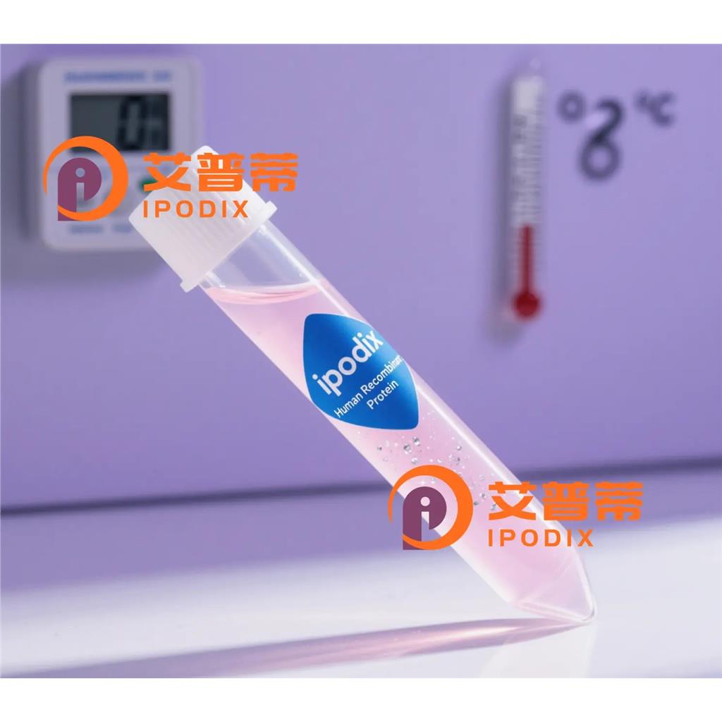 AIFM2抗体;AIFM2 Antibody—艾普蒂