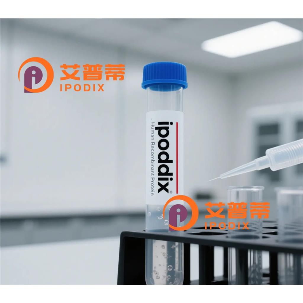 CGAS抗体;CGAS Antibody—艾普蒂