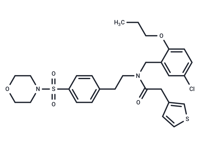 化合物 YM-I-26|T200649|TargetMol