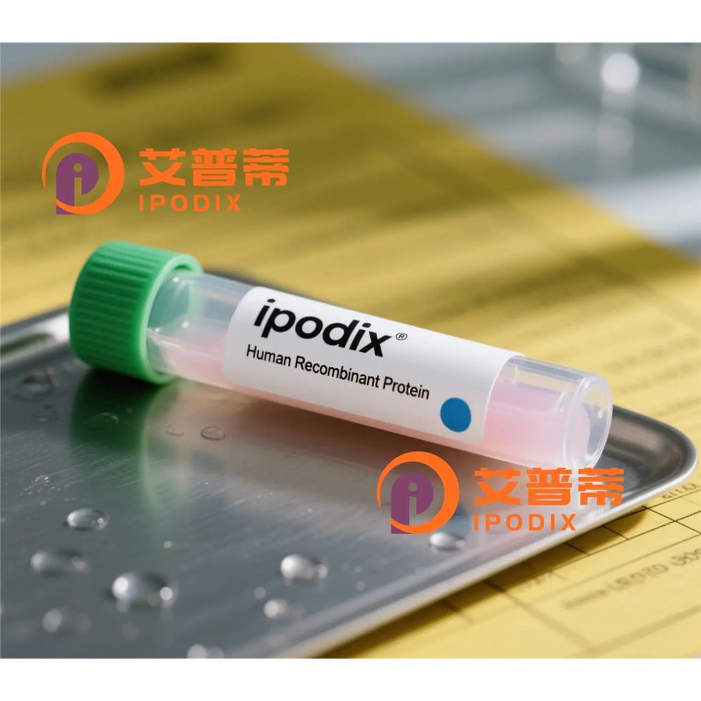 CPSF2抗体;CPSF2 Antibody—艾普蒂