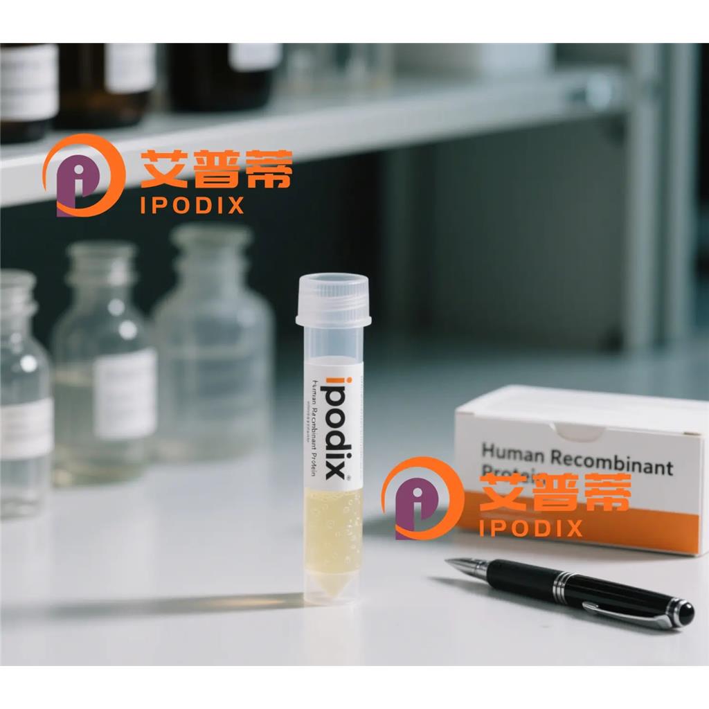 EEA1抗体;EEA1 Antibody—艾普蒂