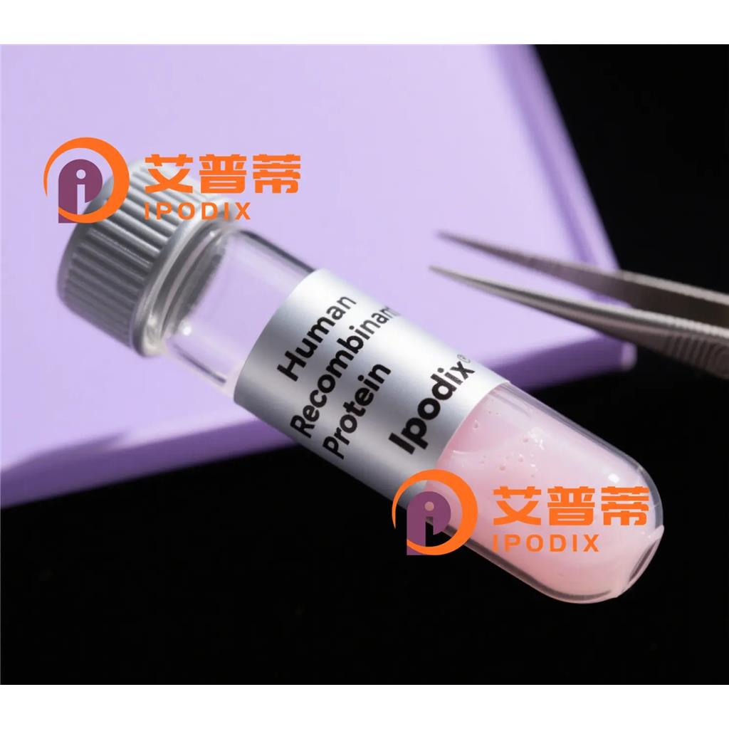 FECH抗体;FECH Antibody—艾普蒂