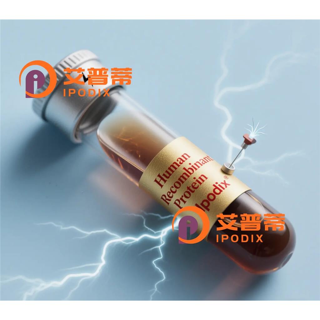 GRIK5抗体;GRIK5 Antibody—艾普蒂