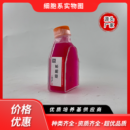 Panc 03.27(胰腺癌细胞)