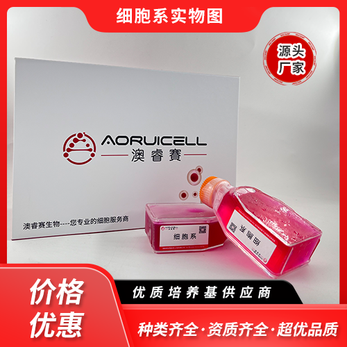 L132(人胚胎肺上皮细胞)