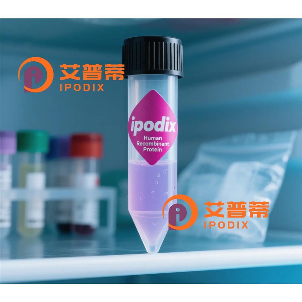 PML抗体;PML Antibody—艾普蒂