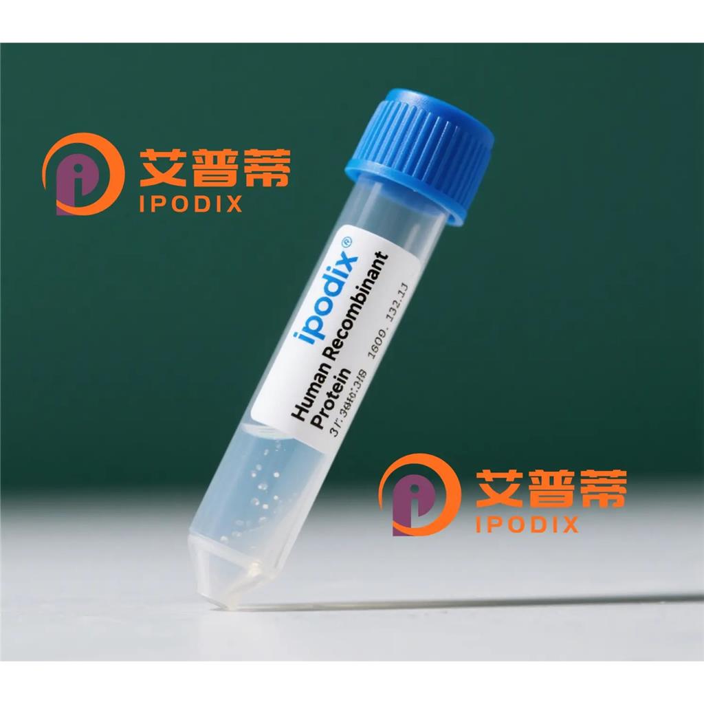 PSIP1/LEDGF抗体;PSIP1/LEDGF Antibody—艾普蒂