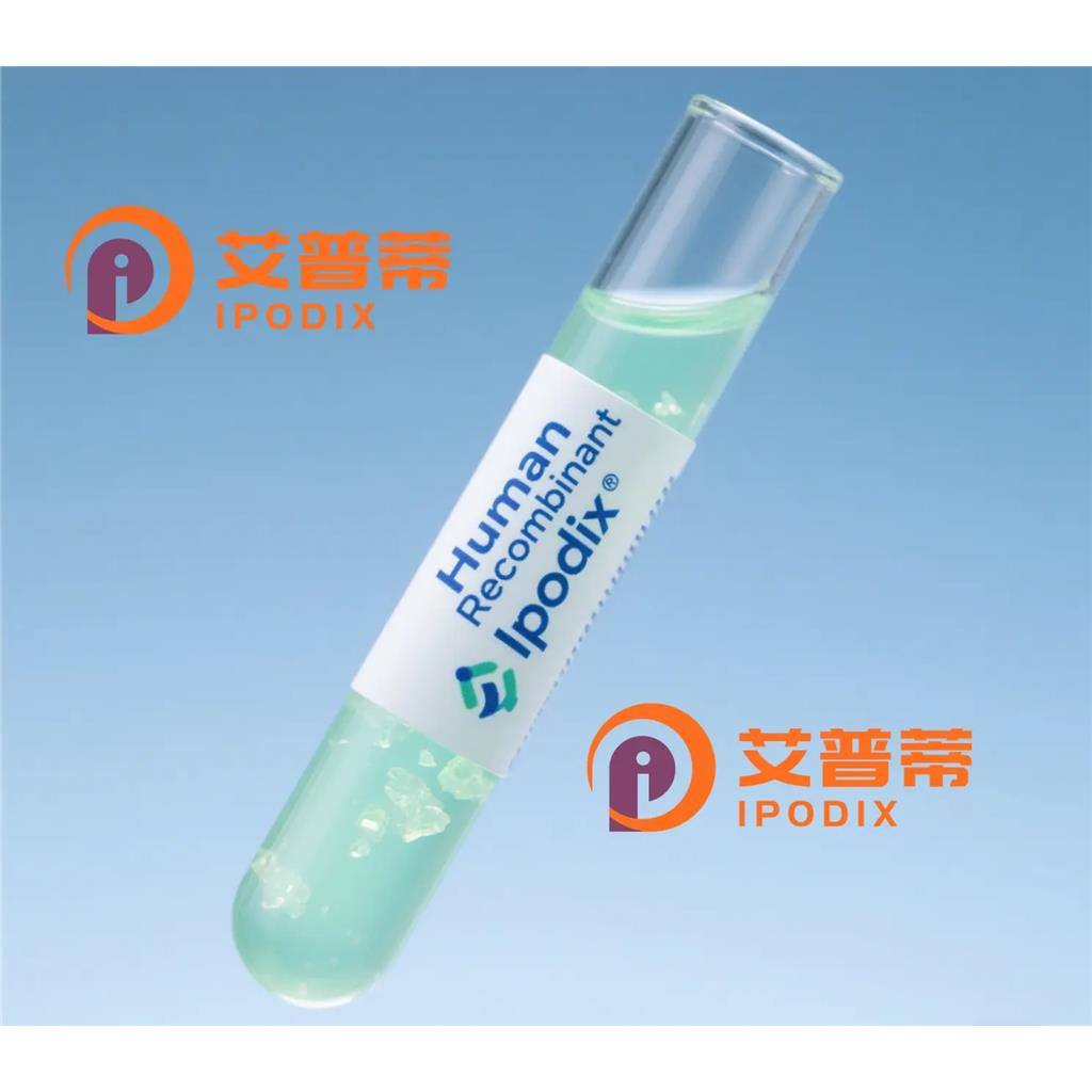 FetuinB抗体;FetuinB Antibody—艾普蒂