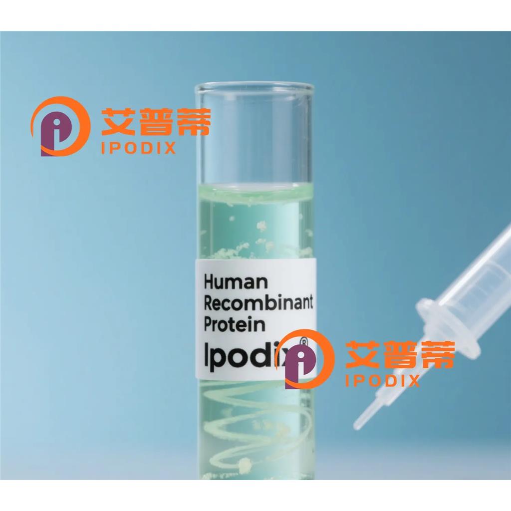 5T4抗体;5T4 Antibody—艾普蒂