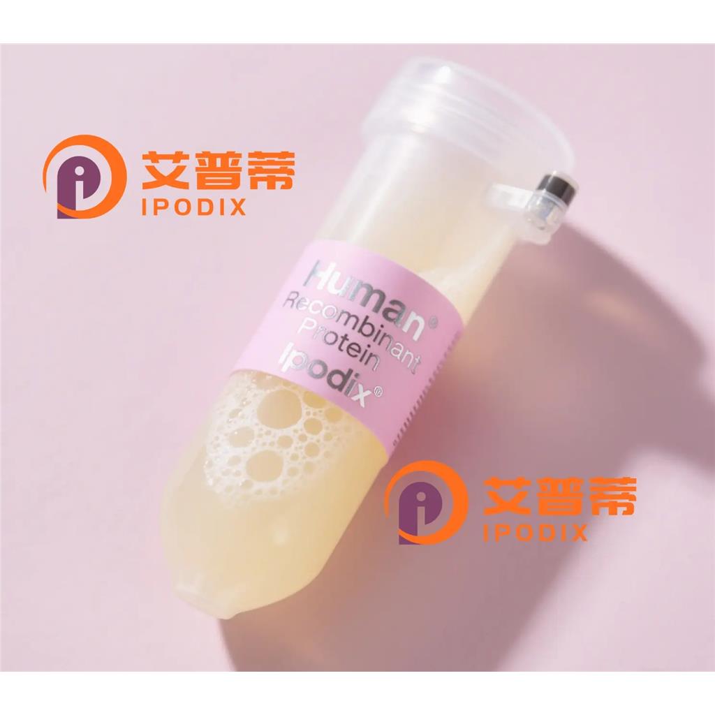 14-3-3gamma抗体;14-3-3gamma Antibody—艾普蒂