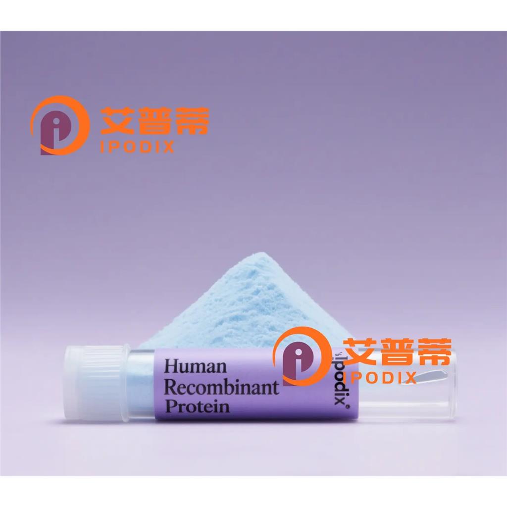 Hsp22抗体;Hsp22 Antibody—艾普蒂