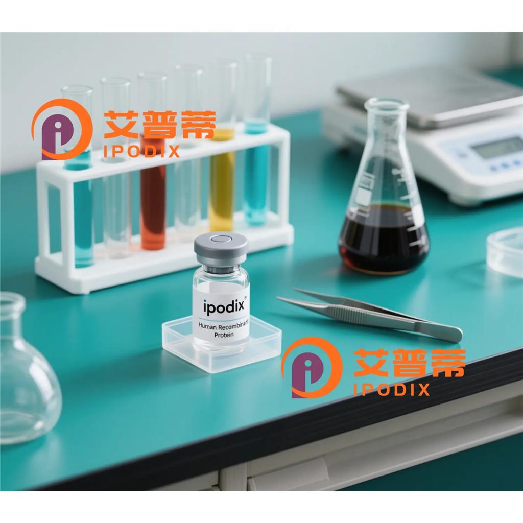 Hsp22抗体;Hsp22 Antibody—艾普蒂