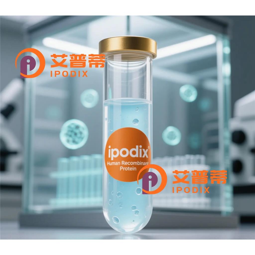 SDF1抗体;SDF1 Antibody—艾普蒂