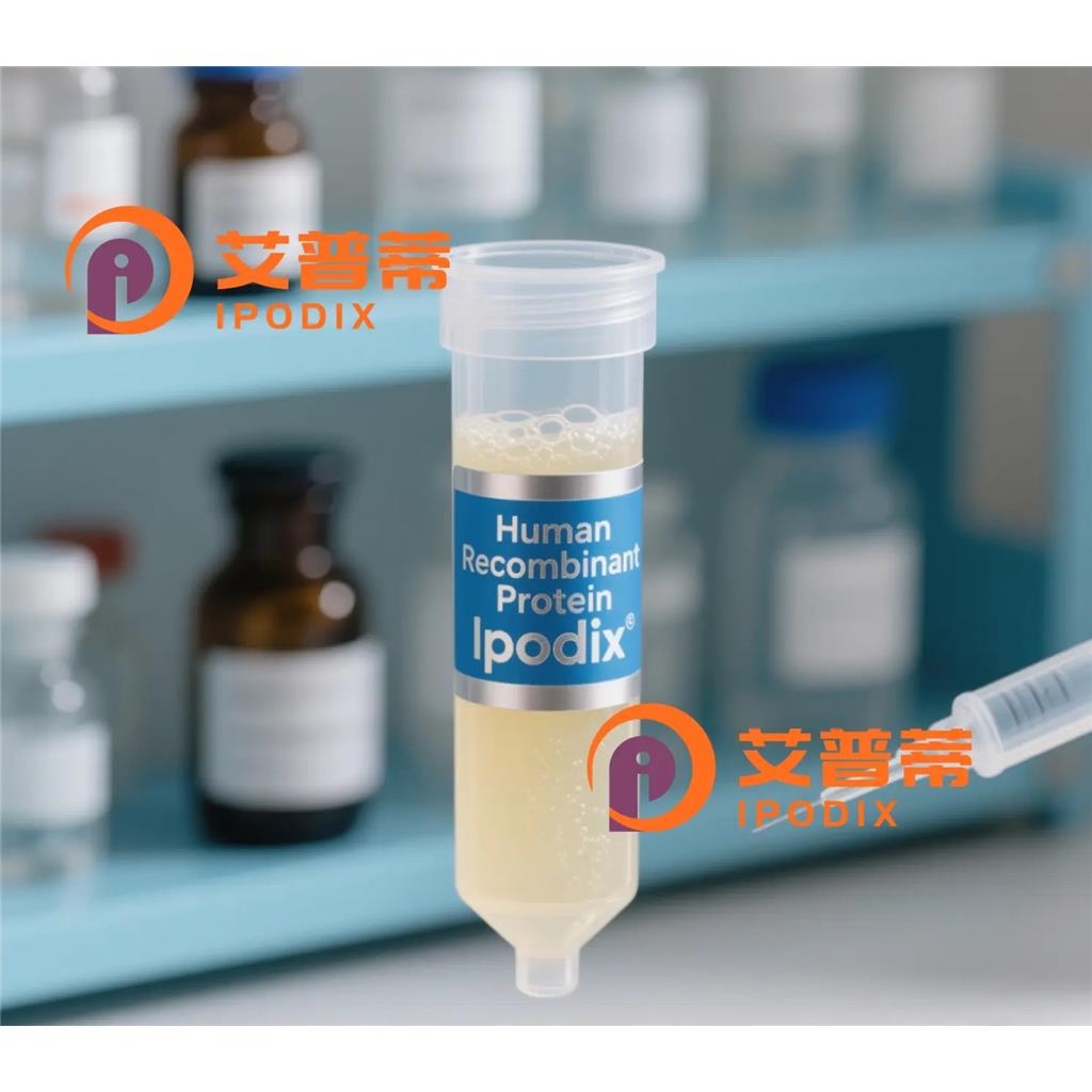 CollagenX抗体;CollagenX Antibody—艾普蒂