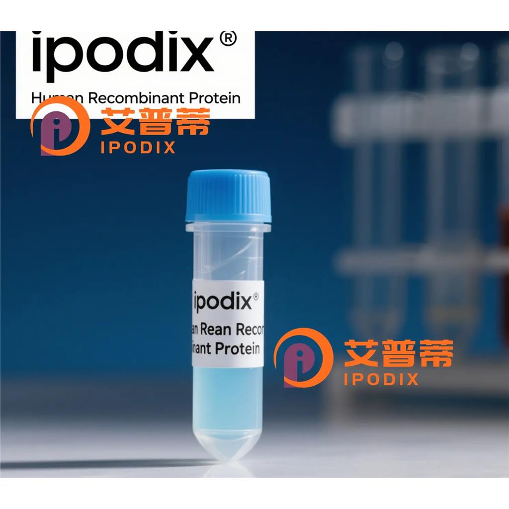 Rhodopsin抗体;Rhodopsin Antibody—艾普蒂