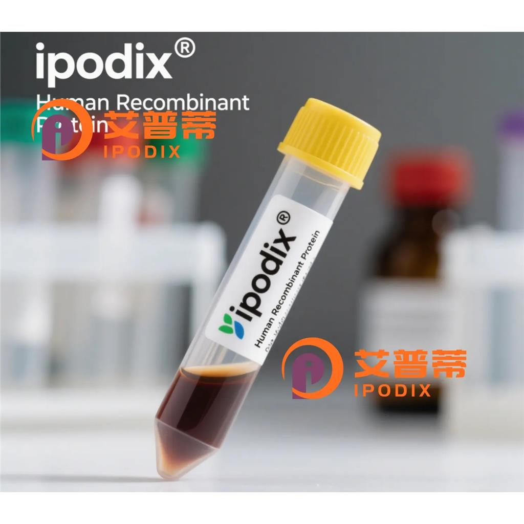 PRMT1抗体;PRMT1 Antibody—艾普蒂