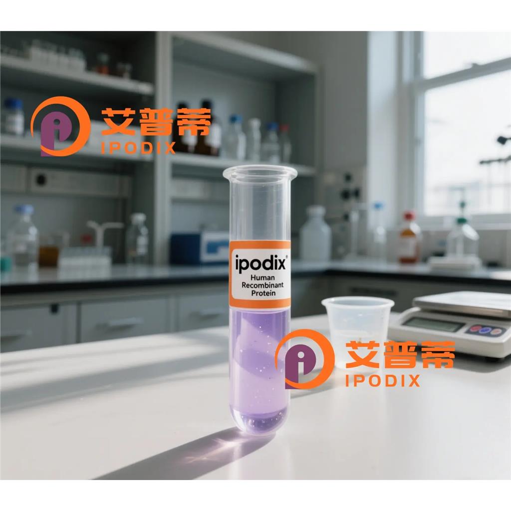 HuR/ELAVL1抗体;HuR/ELAVL1 Antibody—艾普蒂