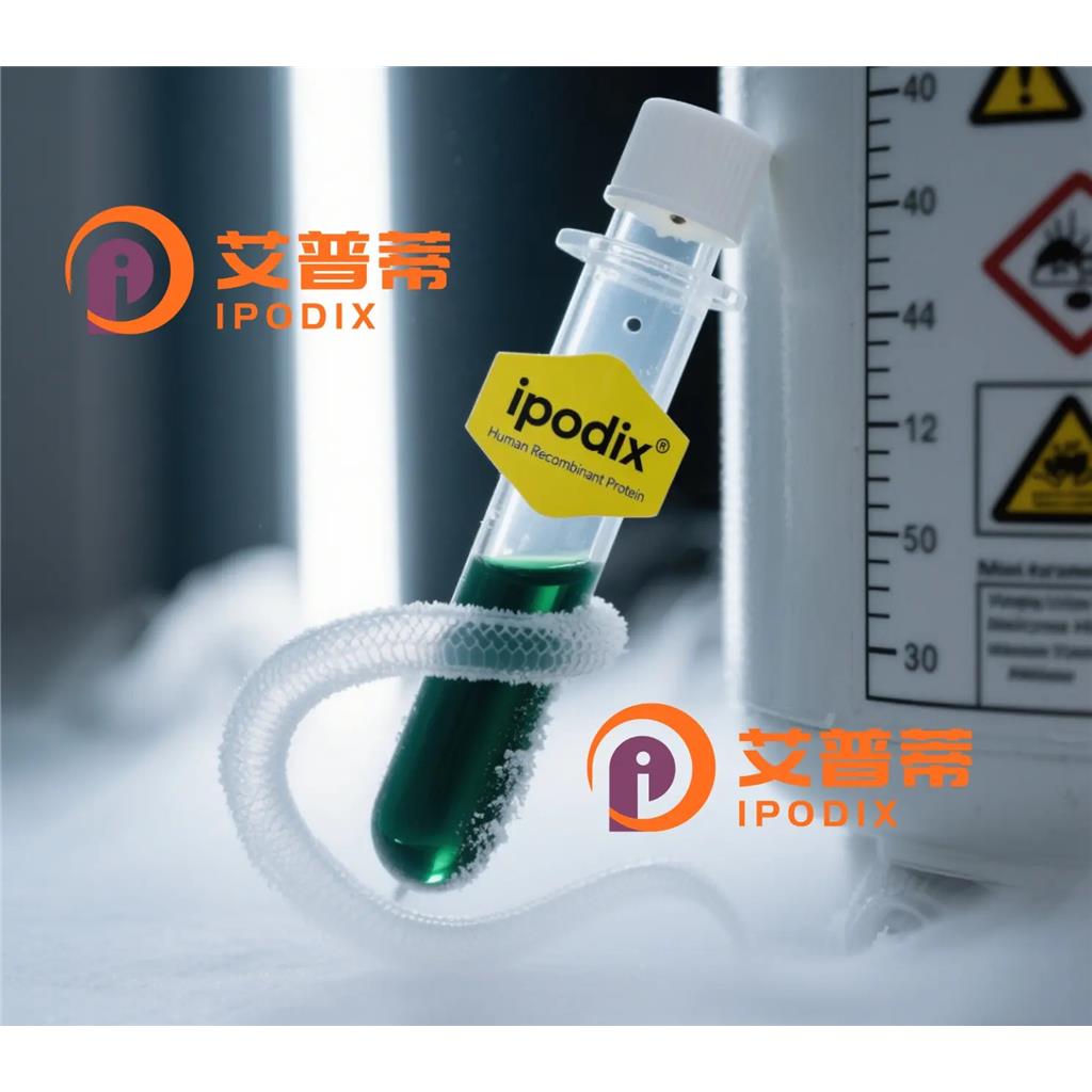 ALIX抗体;ALIX Antibody—艾普蒂