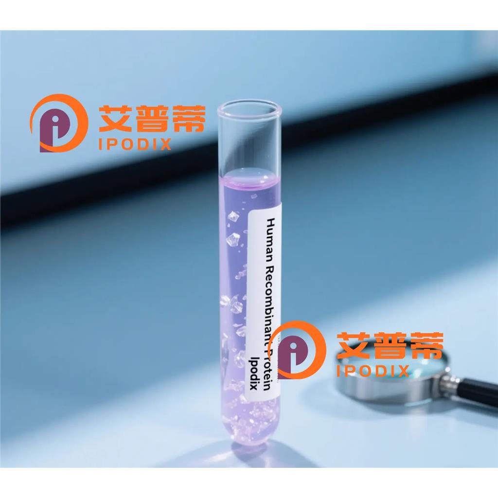 GIT1抗体;GIT1 Antibody—艾普蒂