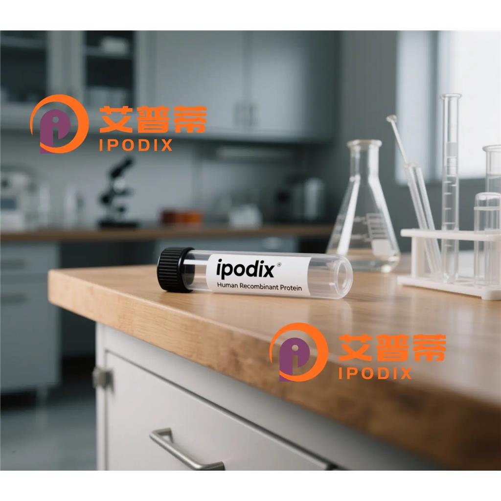 MAT2A抗体;MAT2A Antibody—艾普蒂