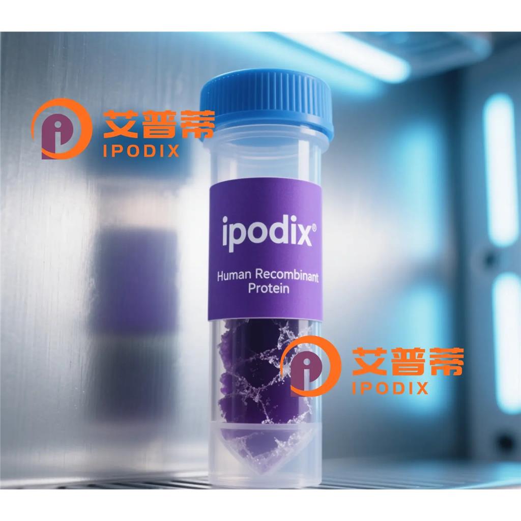 MAT2A抗体;MAT2A Antibody—艾普蒂