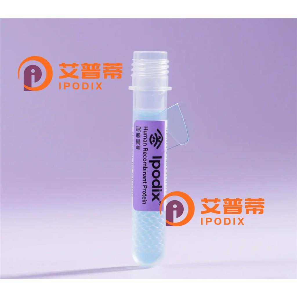 G3BP抗体;G3BP Antibody—艾普蒂