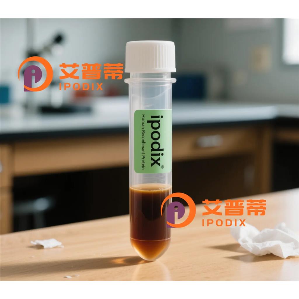 SynapsinII抗体;SynapsinII Antibody—艾普蒂